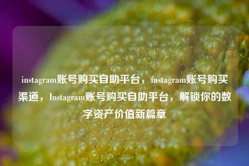 instagram账号购买自助平台，instagram账号购买渠道	，Instagram账号购买自助平台，解锁你的数字资产价值新篇章  第1张