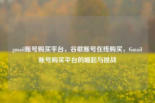 gmail账号购买平台，谷歌账号在线购买，Gmail账号购买平台的崛起与挑战