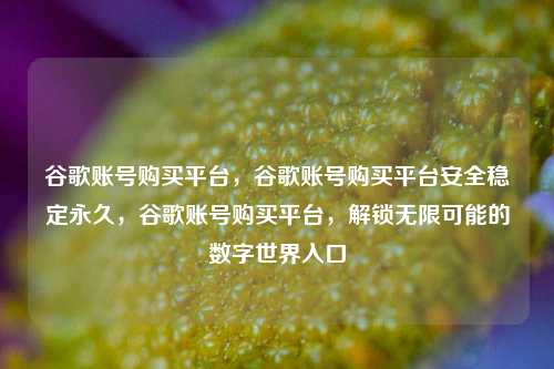 谷歌账号购买平台，谷歌账号购买平台安全稳定永久，谷歌账号购买平台，解锁无限可能的数字世界入口