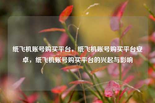 纸飞机账号购买平台，纸飞机账号购买平台安卓，纸飞机账号购买平台的兴起与影响