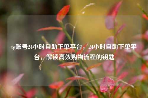 tg账号24小时自助下单平台，24小时自助下单平台，解锁高效购物流程的钥匙