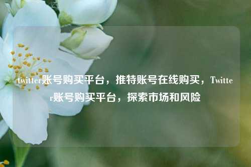 twitter账号购买平台，推特账号在线购买，Twitter账号购买平台，探索市场和风险