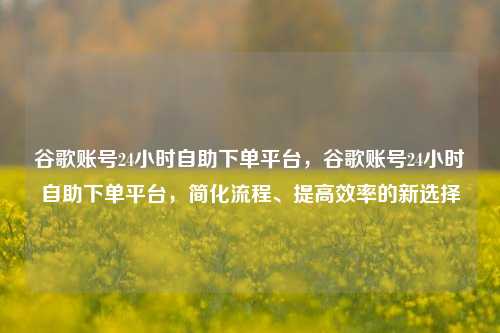 谷歌账号24小时自助下单平台，谷歌账号24小时自助下单平台，简化流程、提高效率的新选择