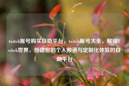 twitch账号购买自助平台，twitch账号大全，解锁Twitch世界，创建您的个人频道与定制化体验的自助平台