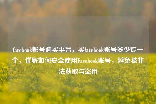facebook帐号购买平台，买facebook账号多少钱一个，详解如何安全使用Facebook账号，避免被非法获取与盗用
