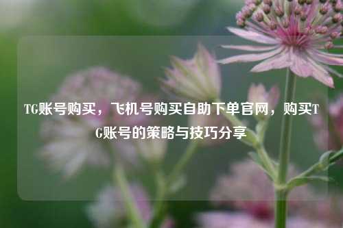 TG账号购买，飞机号购买自助下单官网，购买TG账号的策略与技巧分享