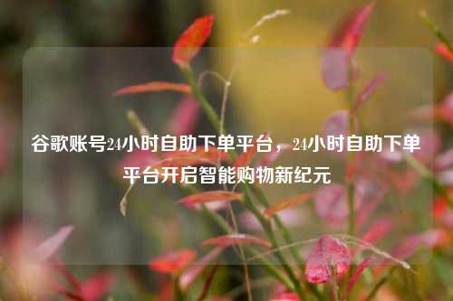 谷歌账号24小时自助下单平台，24小时自助下单平台开启智能购物新纪元