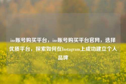 ins账号购买平台，ins账号购买平台官网，选择优质平台，探索如何在Instagram上成功建立个人品牌