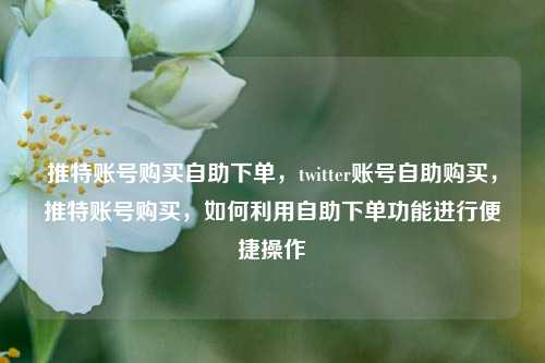 推特账号购买自助下单，twitter账号自助购买，推特账号购买，如何利用自助下单功能进行便捷操作