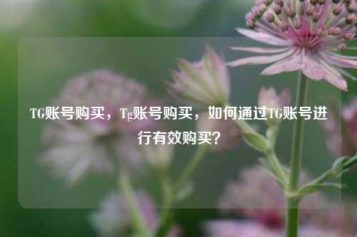 TG账号购买，Tg账号购买，如何通过TG账号进行有效购买？  第1张