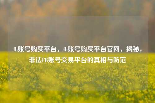 fb账号购买平台，fb账号购买平台官网，揭秘，非法FB账号交易平台的真相与防范