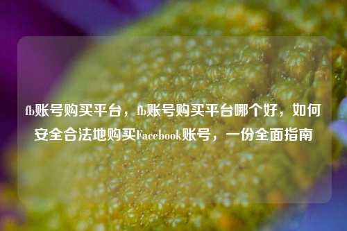 fb账号购买平台，fb账号购买平台哪个好，如何安全合法地购买Facebook账号，一份全面指南