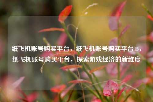 纸飞机账号购买平台，纸飞机账号购买平台15，纸飞机账号购买平台，探索游戏经济的新维度