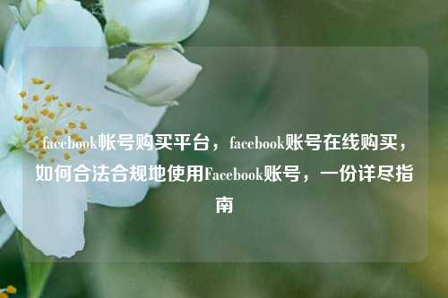 facebook帐号购买平台，facebook账号在线购买，如何合法合规地使用Facebook账号，一份详尽指南