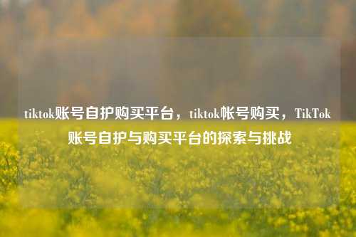 tiktok账号自护购买平台，tiktok帐号购买，TikTok 账号自护与购买平台的探索与挑战