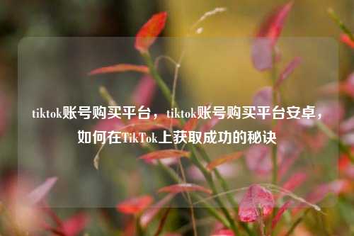 tiktok账号购买平台，tiktok账号购买平台安卓，如何在TikTok上获取成功的秘诀