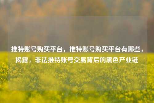 推特账号购买平台，推特账号购买平台有哪些，揭露，非法推特账号交易背后的黑色产业链
