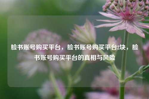 脸书账号购买平台，脸书账号购买平台2块，脸书账号购买平台的真相与风险
