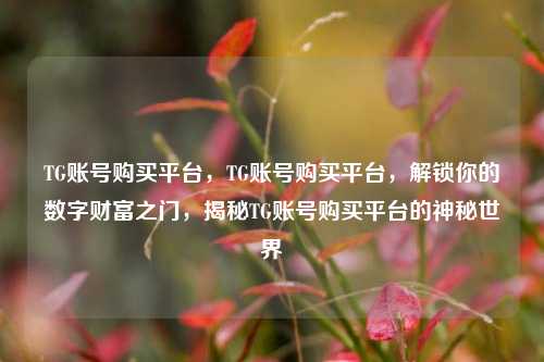 TG账号购买平台，TG账号购买平台，解锁你的数字财富之门，揭秘TG账号购买平台的神秘世界