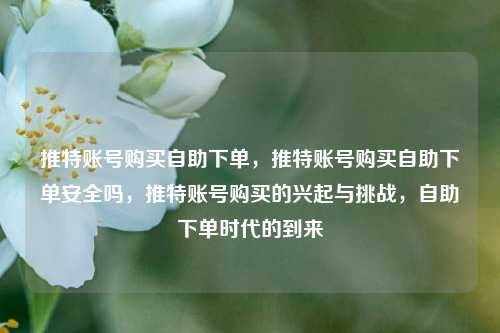 推特账号购买自助下单，推特账号购买自助下单安全吗，推特账号购买的兴起与挑战，自助下单时代的到来