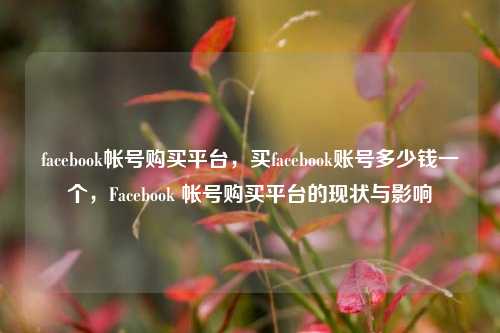 facebook帐号购买平台，买facebook账号多少钱一个，Facebook 帐号购买平台的现状与影响