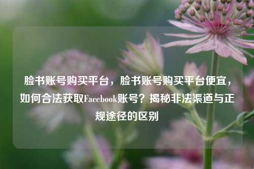 脸书账号购买平台，脸书账号购买平台便宜，如何合法获取Facebook账号？揭秘非法渠道与正规途径的区别