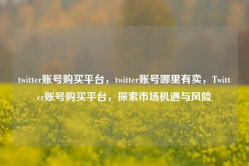 twitter账号购买平台，twitter账号哪里有卖，Twitter账号购买平台，探索市场机遇与风险