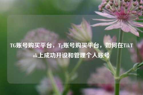 TG账号购买平台，Tg账号购买平台，如何在TikTok上成功开设和管理个人账号
