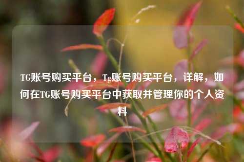 TG账号购买平台，Tg账号购买平台，详解，如何在TG账号购买平台中获取并管理你的个人资料