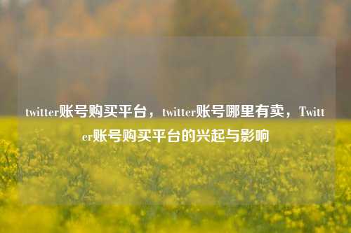 twitter账号购买平台，twitter账号哪里有卖，Twitter账号购买平台的兴起与影响