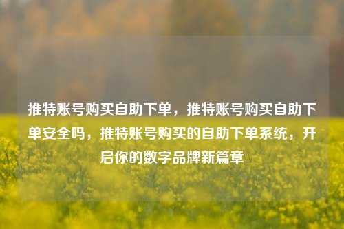 推特账号购买自助下单，推特账号购买自助下单安全吗，推特账号购买的自助下单系统，开启你的数字品牌新篇章