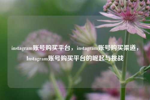 instagram账号购买平台，instagram账号购买渠道	，Instagram账号购买平台的崛起与挑战  第1张
