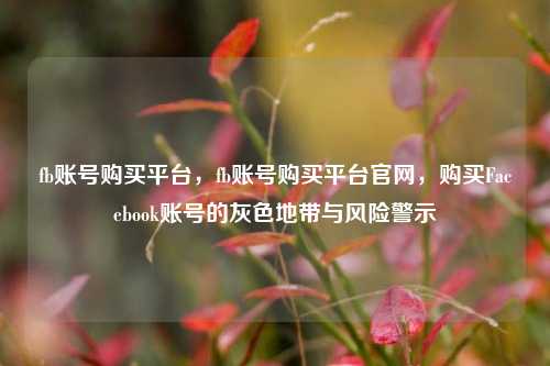fb账号购买平台，fb账号购买平台官网，购买Facebook账号的灰色地带与风险警示
