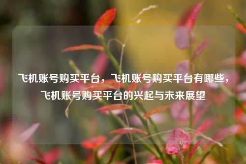 飞机账号购买平台，飞机账号购买平台有哪些，飞机账号购买平台的兴起与未来展望
