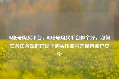fb账号购买平台，fb账号购买平台哪个好，如何在合法合规的前提下购买FB账号并保持账户安全