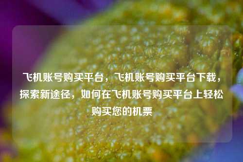 飞机账号购买平台，飞机账号购买平台下载，探索新途径，如何在飞机账号购买平台上轻松购买您的机票