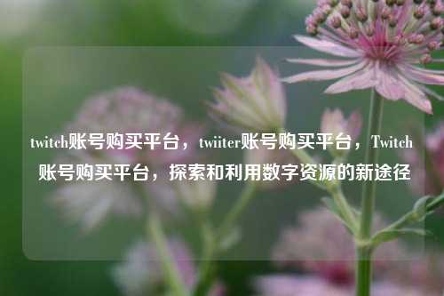 twitch账号购买平台，twiiter账号购买平台，Twitch 账号购买平台，探索和利用数字资源的新途径