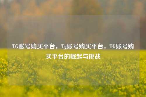 TG账号购买平台，Tg账号购买平台，TG账号购买平台的崛起与挑战