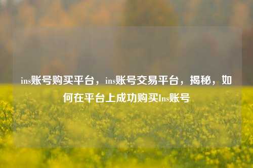 ins账号购买平台，ins账号交易平台，揭秘，如何在平台上成功购买Ins账号