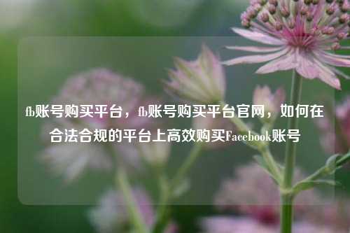 fb账号购买平台，fb账号购买平台官网，如何在合法合规的平台上高效购买Facebook账号