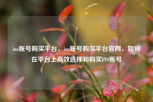 ins账号购买平台，ins账号购买平台官网，如何在平台上高效选择和购买INS账号