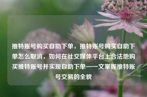推特账号购买自助下单，推特账号购买自助下单怎么取消，如何在社交媒体平台上合法地购买推特账号并实现自助下单—一文掌握推特账号交易的全貌