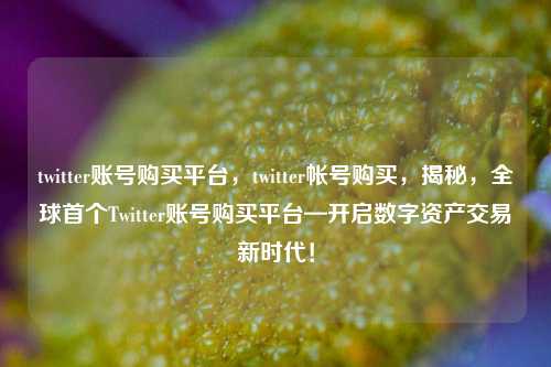 twitter账号购买平台，twitter帐号购买，揭秘，全球首个Twitter账号购买平台—开启数字资产交易新时代！