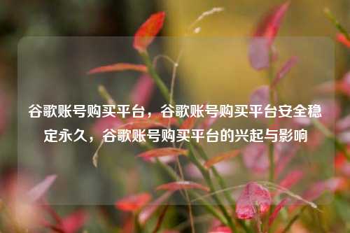 谷歌账号购买平台，谷歌账号购买平台安全稳定永久，谷歌账号购买平台的兴起与影响