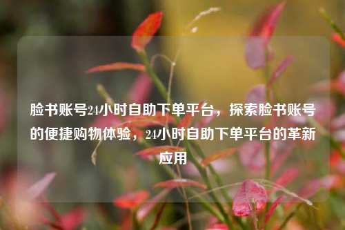 脸书账号24小时自助下单平台，探索脸书账号的便捷购物体验，24小时自助下单平台的革新应用