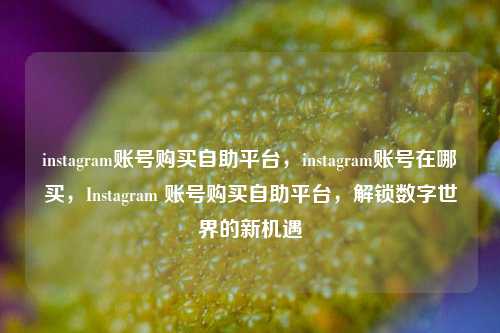 instagram账号购买自助平台，instagram账号在哪买，Instagram 账号购买自助平台	，解锁数字世界的新机遇  第1张