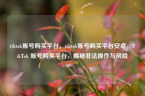 tiktok账号购买平台，tiktok账号购买平台安卓，TikTok 账号购买平台，揭秘非法操作与风险