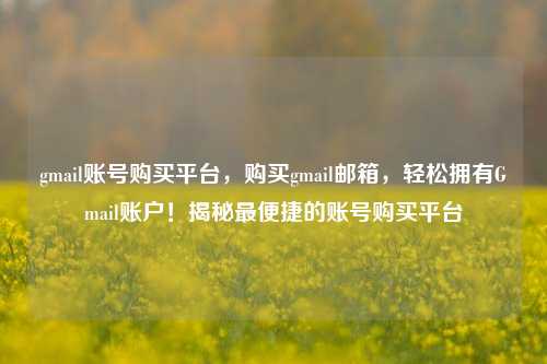 gmail账号购买平台，购买gmail邮箱，轻松拥有Gmail账户！揭秘最便捷的账号购买平台