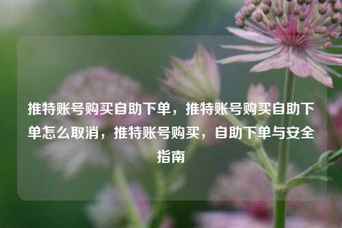 推特账号购买自助下单，推特账号购买自助下单怎么取消，推特账号购买，自助下单与安全指南