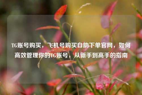 TG账号购买，飞机号购买自助下单官网，如何高效管理你的TG账号	，从新手到高手的指南  第1张